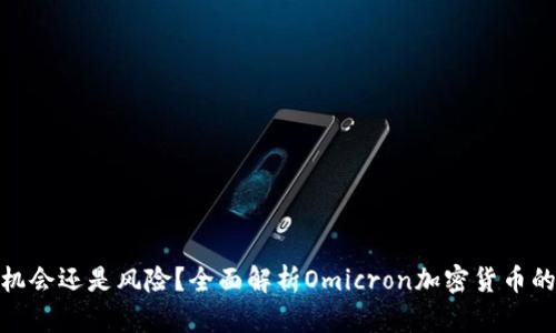 投资者的机会还是风险？全面解析Omicron加密货币的未来之路