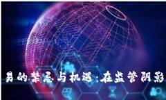 中国加密货币交易的禁忌与机遇：在监管阴影下