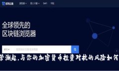 当监管潮起，与你的加密货币投资对抗的风险如