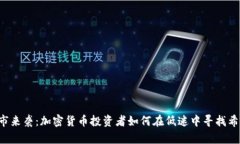 熊市来袭：加密货币投资者如何在低迷中寻找希