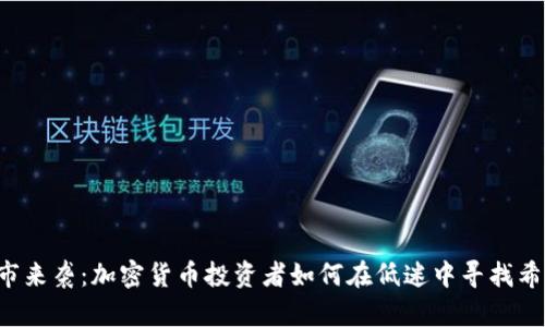 熊市来袭：加密货币投资者如何在低迷中寻找希望？