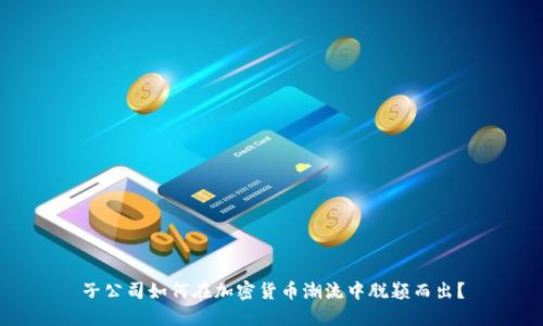 子公司如何在加密货币潮流中脱颖而出？