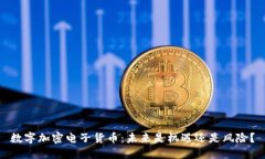 数字加密电子货币：未来是机遇还是风险？