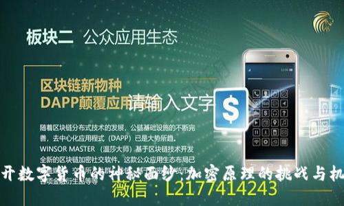 揭开数字货币的神秘面纱：加密原理的挑战与机遇